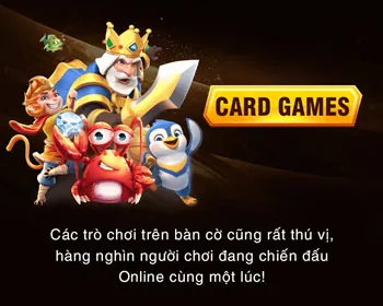 Sân đấu đá gà Thomo tại HP88